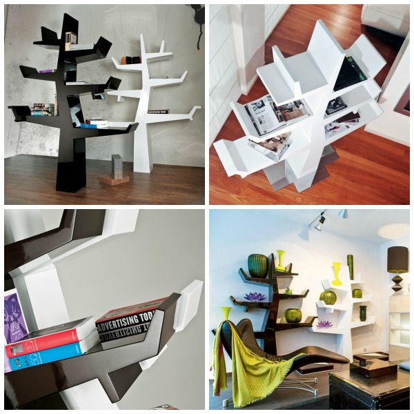 Wintertree libreria 21st