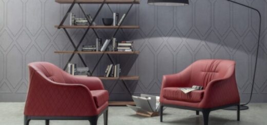 Leather armchairs