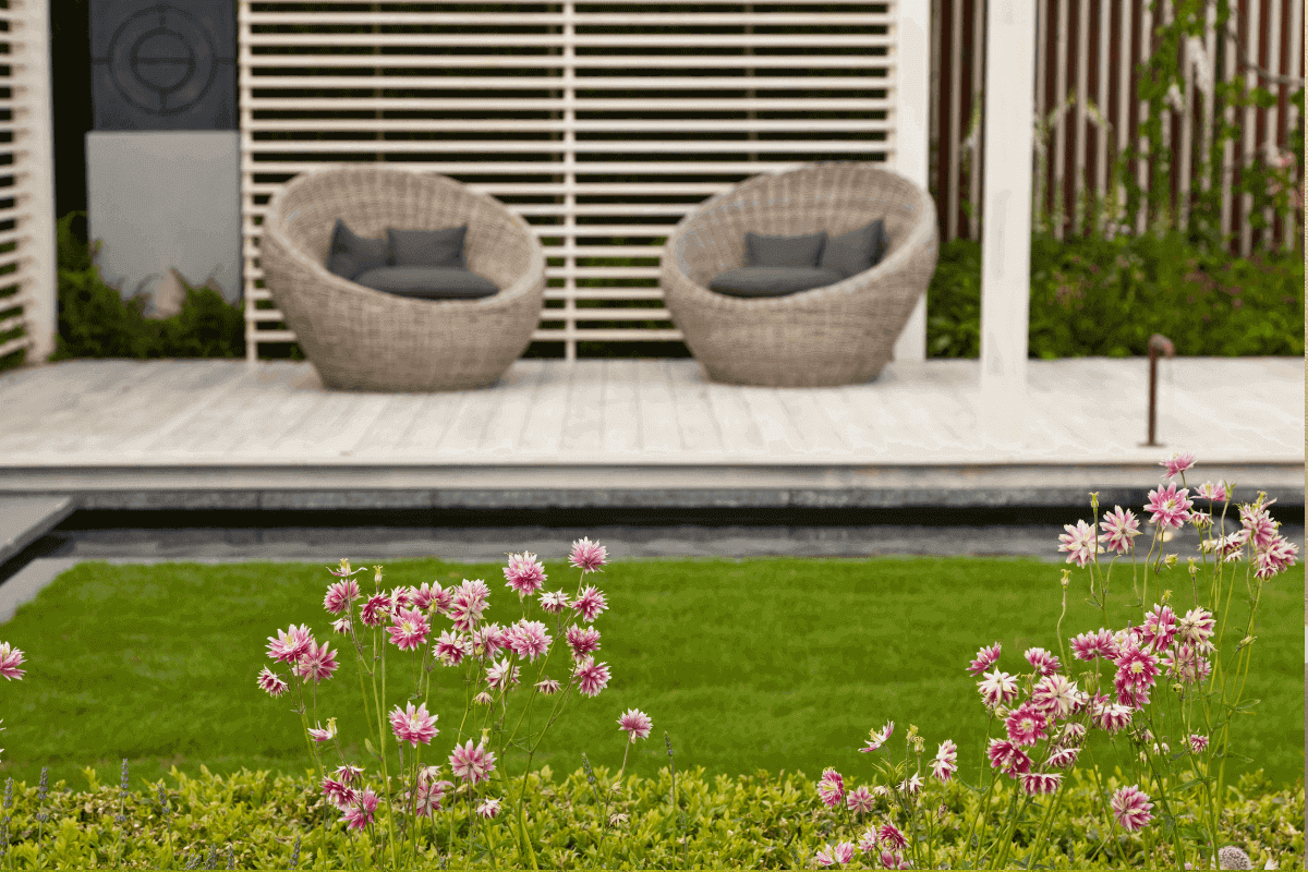 jardin dans un style moderne
