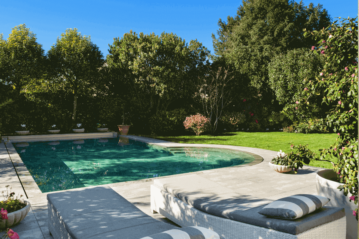 jardin dans un style modern