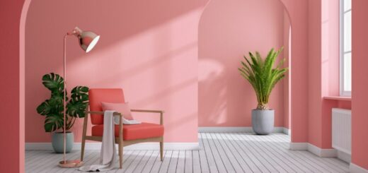 colore-rosa-canva-1-1024x683