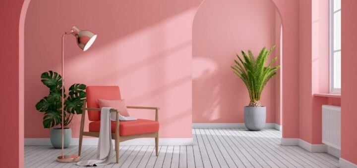 colore-rosa-canva-1-1024x683
