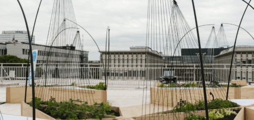 Studi di architettura a Roma_ 15 realtà da conoscere nel 2026_27
