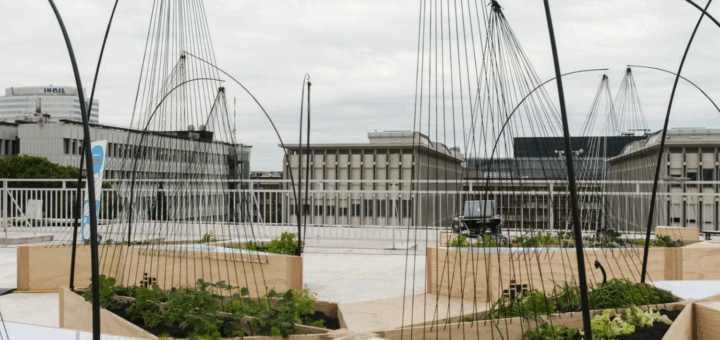 Studi di architettura a Roma_ 15 realtà da conoscere nel 2026_27