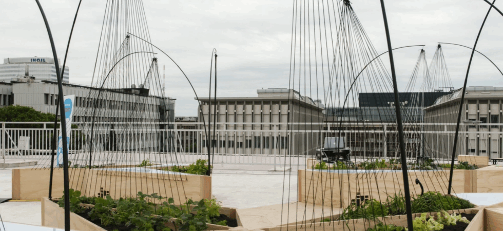 Studi di architettura a Roma_ 15 realtà da conoscere nel 2026_27